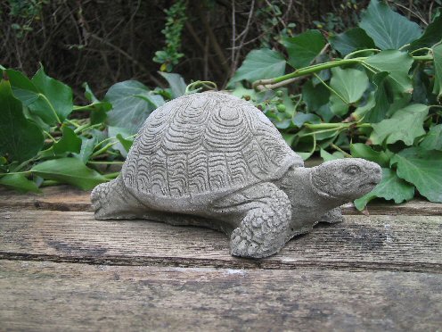 KA37 Terrapin KA37 Terrapin